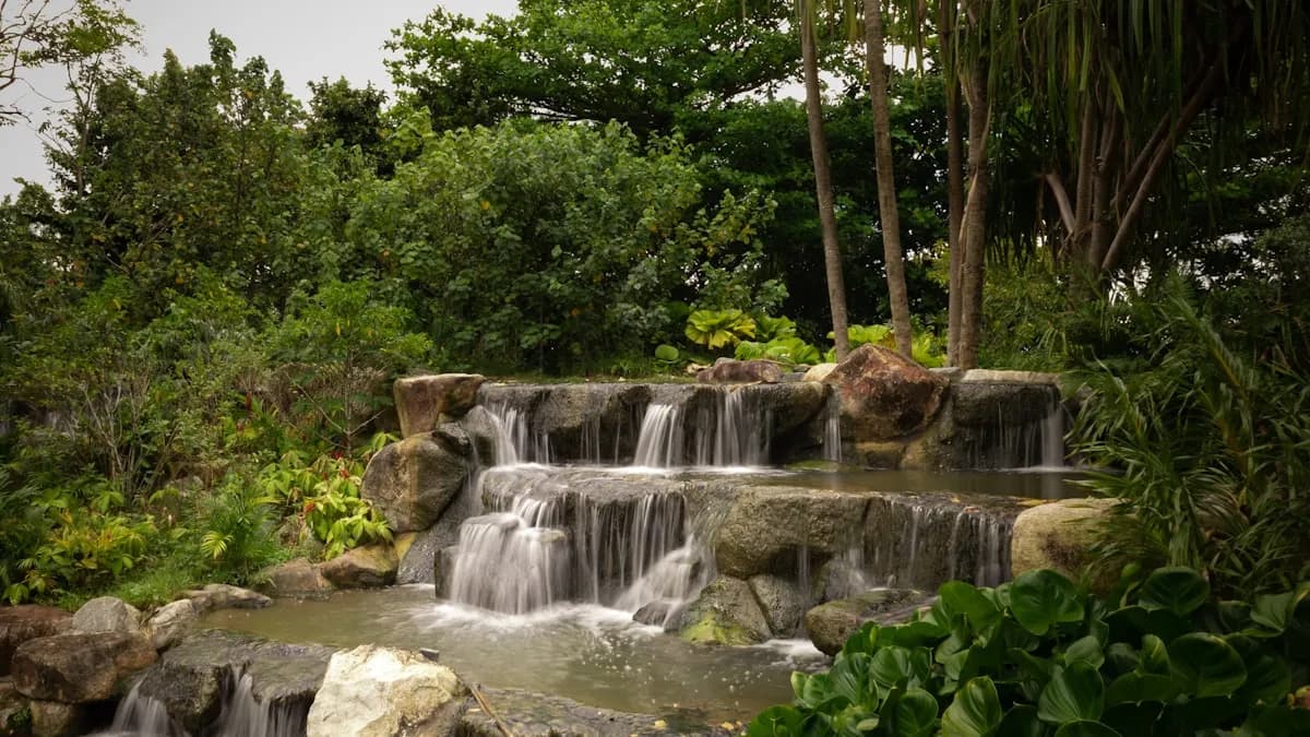 World Water Day Celebrations Start March 12 — Botanical Garden Event, Youth Forum, and a 6K Race